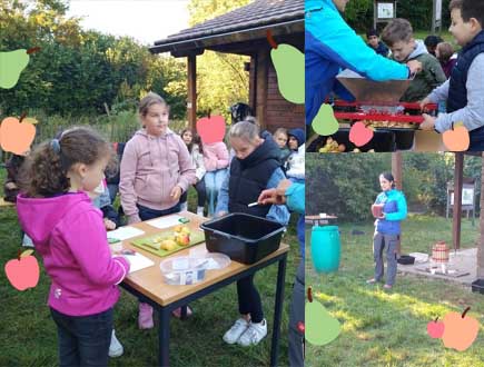 Schüler stellen Apfelsaft her